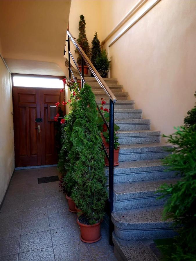 בראשוב Villa Casa Ioana מראה חיצוני תמונה