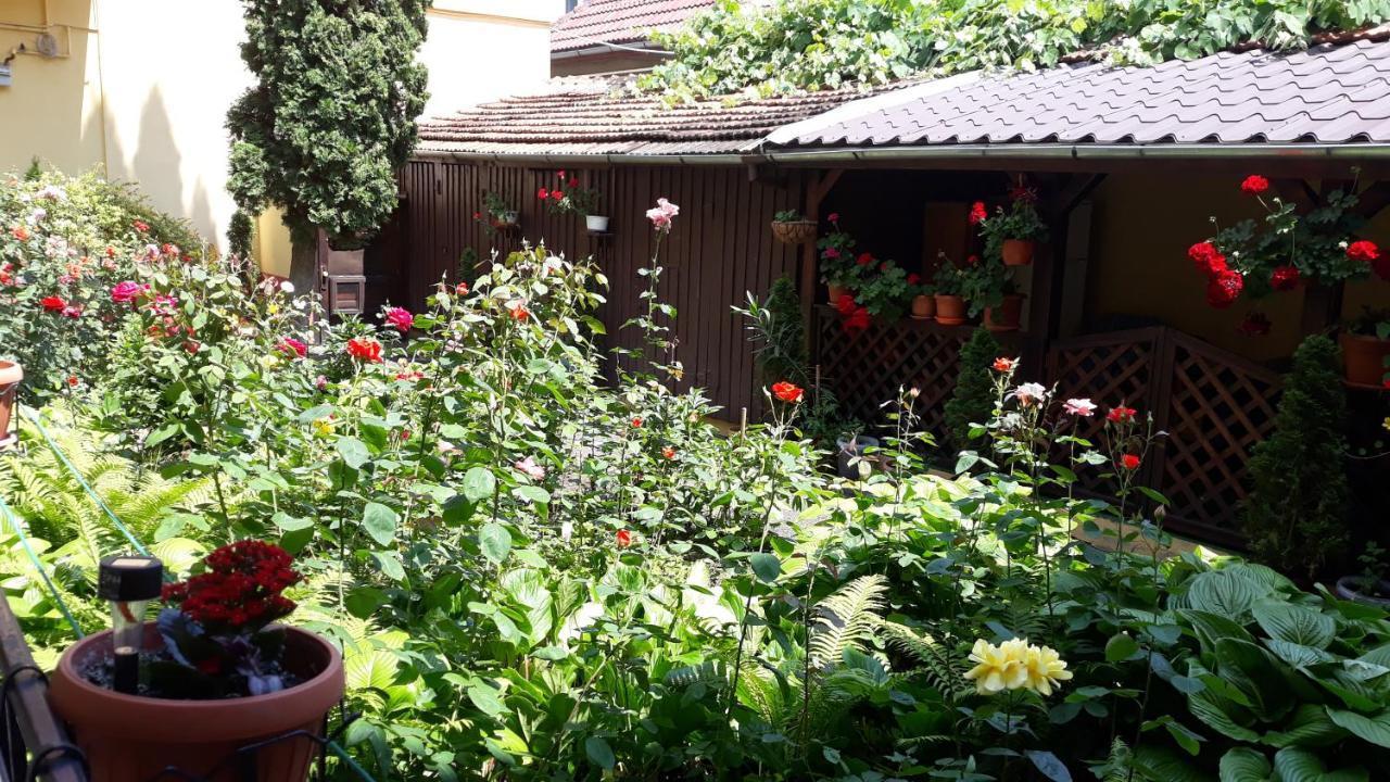 בראשוב Villa Casa Ioana מראה חיצוני תמונה