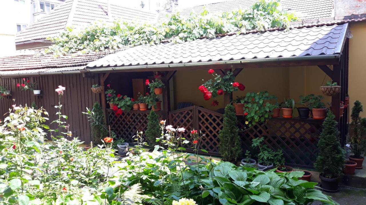 בראשוב Villa Casa Ioana מראה חיצוני תמונה