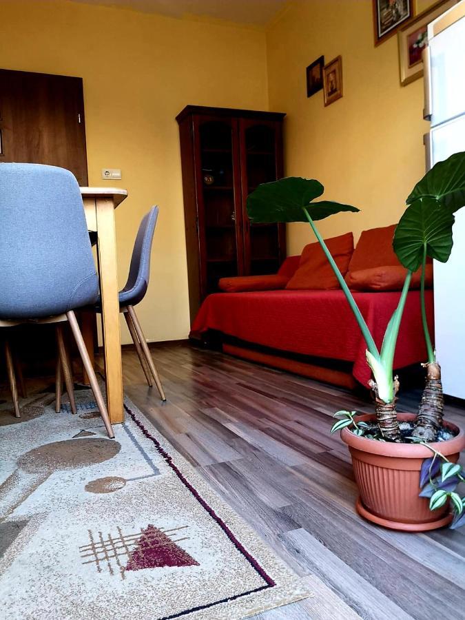 בראשוב Villa Casa Ioana חדר תמונה
