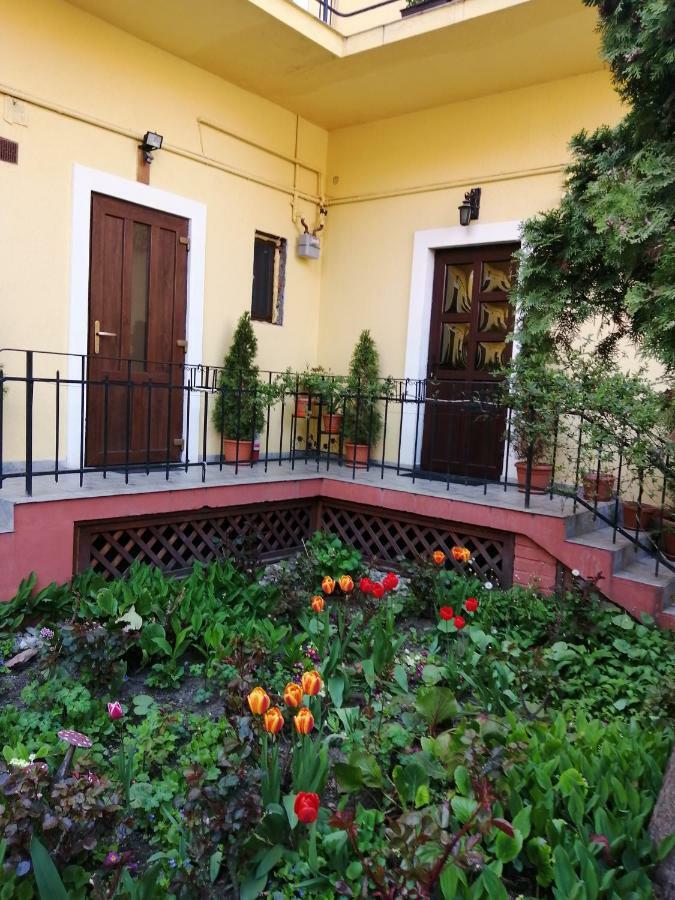 בראשוב Villa Casa Ioana מראה חיצוני תמונה