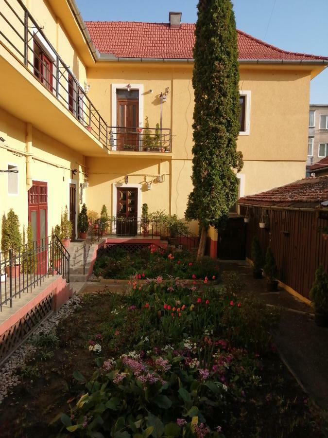 בראשוב Villa Casa Ioana מראה חיצוני תמונה
